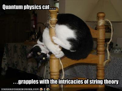 Funny Cat Pictures with Captions Science