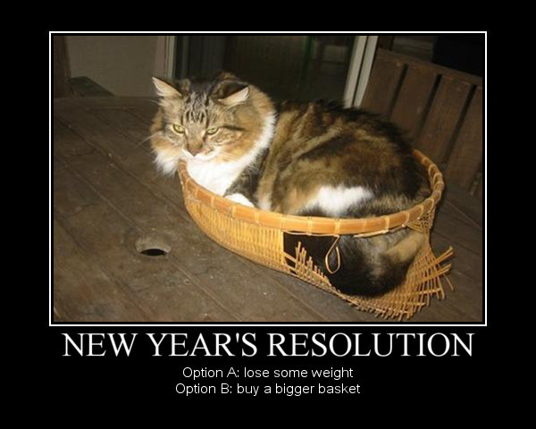 new-year-39-s-resolution-option-a-lose-some-weight-option-b-buy-a ...