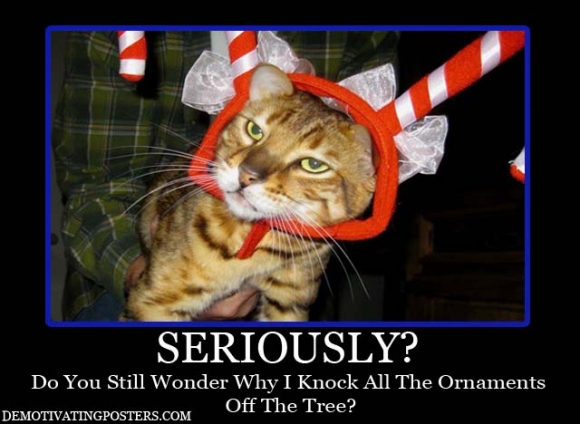 Friday Funny! ;-)  Christmas humor (5/6)
